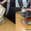 큰산유통 이미지