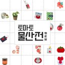 토마토프라자 이미지