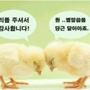 오리와 쭈꾸미 이미지