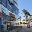 엉클도넛 | 인천 영종도 내돈내산 디저트 맛집 엉클베어베이글 영종도본점 방문 후기