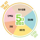 (자연의 법칙에 순응하는 생활) 13. 주요 영양소와 미량 영양소 이미지