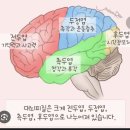 [여름방학 특강] (4학년-1) 나는야 드론 조종사~ | 여름방학특강 제대로 알아보지 않고 수강하면 백만원 날립니다