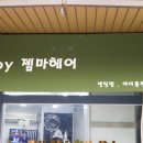젬마헤어 이미지