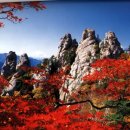 문화재공원1 이미지