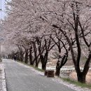 금대초등학교 | 원주 판부면 고즈넉한 한옥카페 &lt;이체커피&gt;