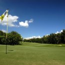 WI-GOLF Daum카페