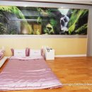 경포에메랄드호텔 이미지