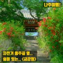 나루터민박 | 나주여행! 4월 가볼만한곳! 영산강 자전거 종주길 옆.. 쉼이 있는 <금강정>