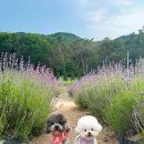 파인드프로덕트