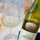 기가카본뉴트럴리티 | Domaine Gobelsberg Gruner Veltliner 2023