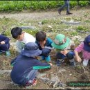 큰빛자연생태어린이집 이미지