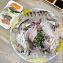 홍성상회 | 노량진수산시장 홍성상회 전어 회 맛집