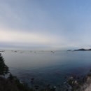 태종대중학교 이미지