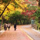 시민의숲산책로1-11 이미지