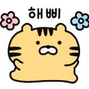 노부스테라 이미지