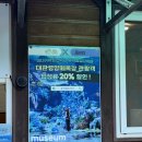 여름목장 | 강릉 대관령 양떼목장 여름 방문 후기 및 가격 할인 정보