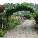 빨간산농장 이미지