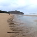 부안변산마실길 이미지