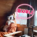 멍멍사우나 이미지