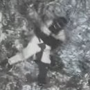 데굴데굴