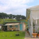 아드레이 이미지