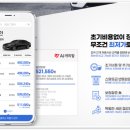 카플렉스 이미지