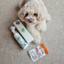 메이크펫 이미지