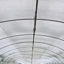 29 하우스 이미지