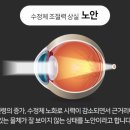 글라스바바 파주운정역점 이미지