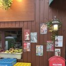 중앙동183 이미지