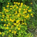 월선주유소 이미지