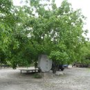 용소산장민박 이미지