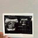세종프라우메디산부인과의원 이미지