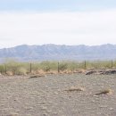 푸른숲 민박 이미지