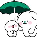 우암동로 이미지