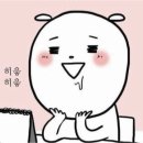 죽림 내죽도공원 이미지