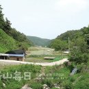 물쌍거리 티스토리
