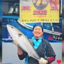 활어바다친구 이미지