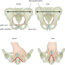 성황남성 이미지