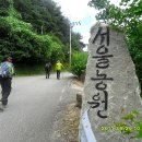 새들모텔 이미지