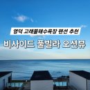 영덕 비사이드 풀빌라 오션뷰 펜션 | 강원도 영덕 여행 비사이드 풀빌라 오션뷰 펜션 방문 후기