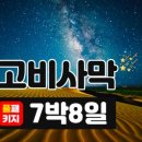 작은별여행사