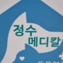 정수메디칼약국 이미지