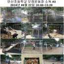 안산 초등학교 병설유치원 이미지