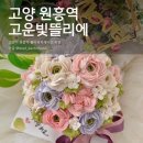 고운들플라워 | 고양 원흥 떡케이크 | 앙금 플라워 떡케이크 주문 제작 [고운빛뜰리에]