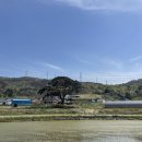 오포3리경로당 네이버블로그