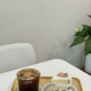 어포트 | 화정역 디저트 카페 어포트 복숭아요거트케이크 후기