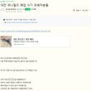 삼성메디케어 | [공지] 대전고양이분양 알아보기 전 알아두면 도움되는 팁!