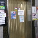 동탄대로시범길 이미지