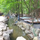 들국화 펜션 이미지